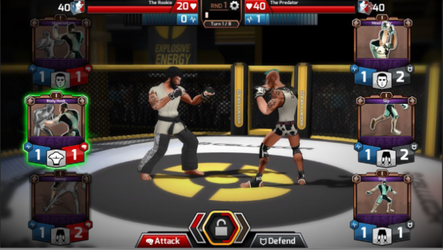 MMA Arena PC Screenshot